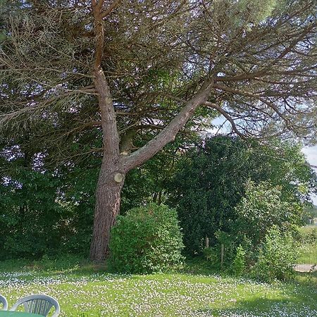 Gite Du Petit Gue Frossay Szoba fotó