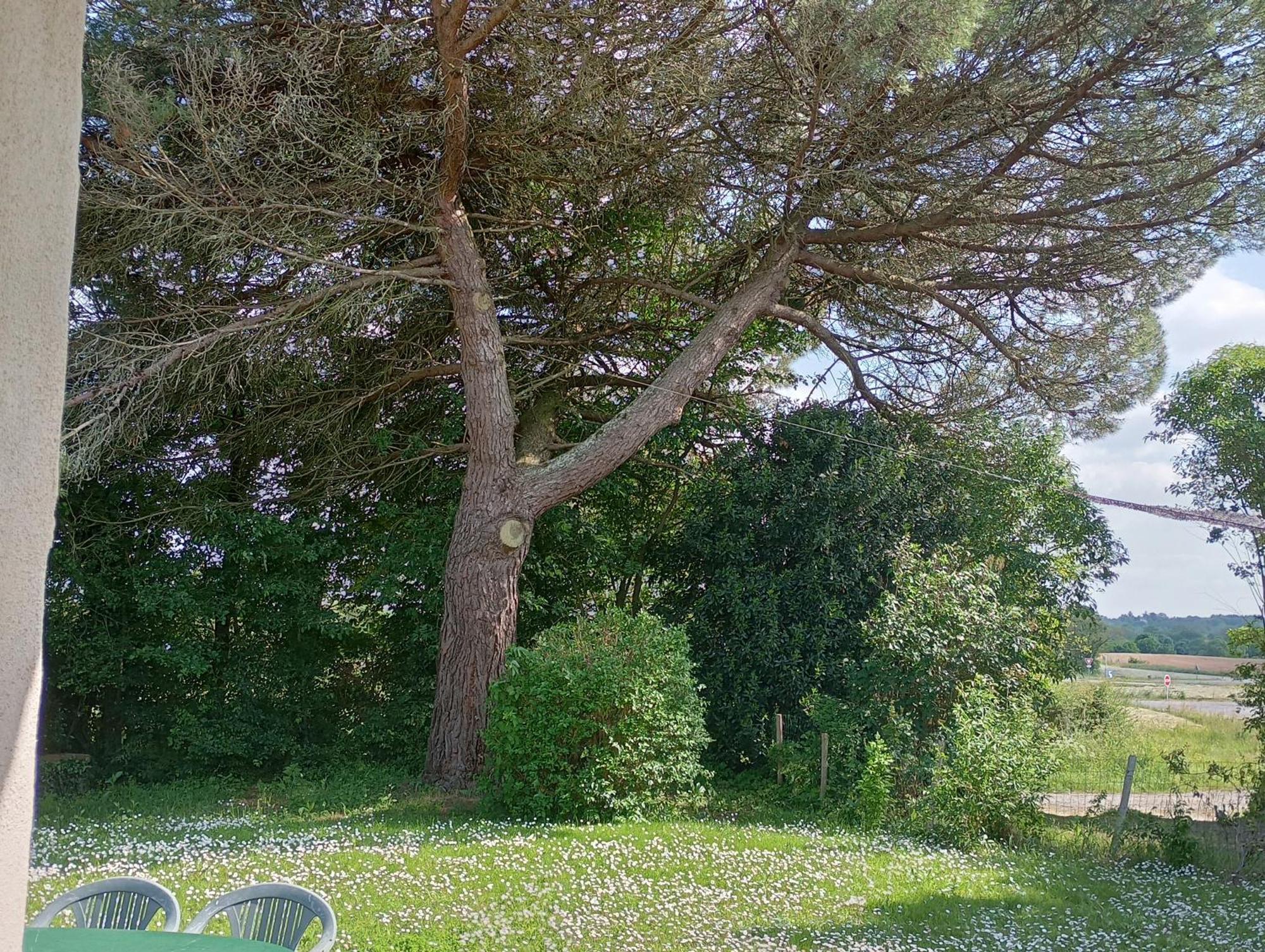 Gite Du Petit Gue Frossay Szoba fotó